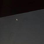 Profile Picture of 김마르지엘라 (@marxiela_) on Instagram