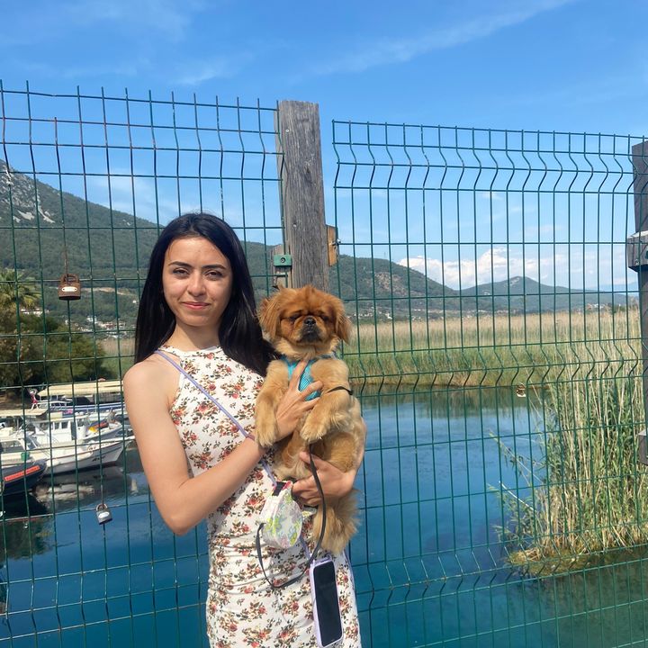 Profile Picture of Bobby (@@bobby.pekingese) on Tiktok