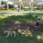 Profile Picture of Chad Rickman (@loving_canine_dog_services) on Instagram