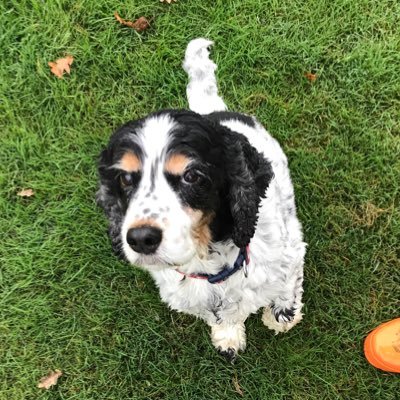 Profile Picture of Alice Locke (@alice_locke) on Twitter