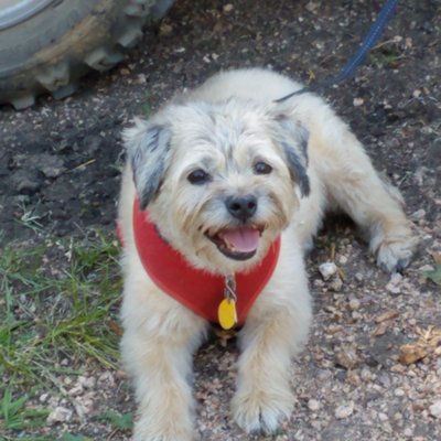 Profile Picture of Luanne Wiley (@LuanneWiley1) on Twitter