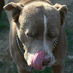 Profile Picture of Jeffro Agnew (@jeffrophoto) on Instagram