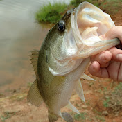 Profile Picture of Jacob Shirley (@jacobshirley703) on Youtube