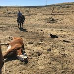 Derek Frederick - Instagram Profile Picture of Derek Frederick (@dhf05) on Instagram