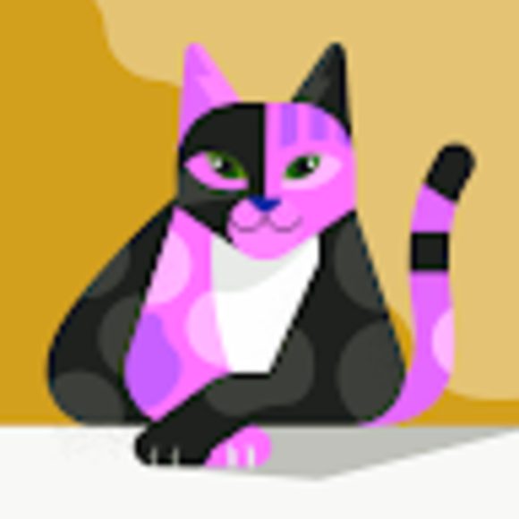 Profile Picture of Kelly Braitsch (@kellybraitsch) on Poshmark