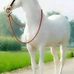 Profile Picture of Asif Jafari (@asif.jafari.311) on Facebook