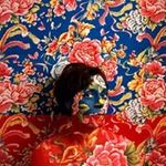 Profile Picture of Kim Siebert (@kim.siebert) on Instagram