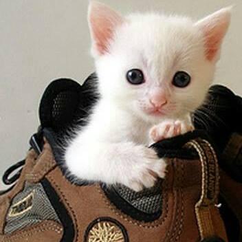 Profile Picture of Jagdish Kumar (@jagdishkumar282) on Twitter