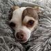 Profile Picture of Lynn Pearson (@lpearson2673) on Pinterest