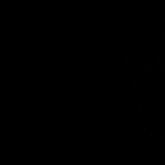 Profile Picture of Jarod Manning (@jarod727) on Poshmark