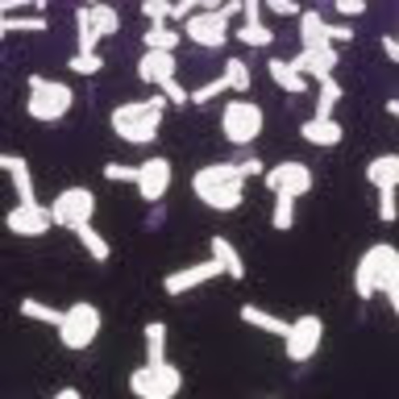 Profile Picture of Sarah Seager (@saseage) on Poshmark