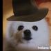 Profile Picture of Andrew Kolinski (@andrew.kolinski.948) on Facebook