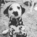 Profile Picture of Max Billon (@max.billon.161) on Facebook