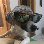 Profile Picture of Kevin Coppola (@kevin_jack_tra) on Instagram