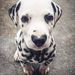 Profile Picture of Leonor Sousa (@liou1605) on Pinterest