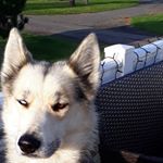 Profile Picture of Howard Ball (@howard.ball.7712) on Instagram