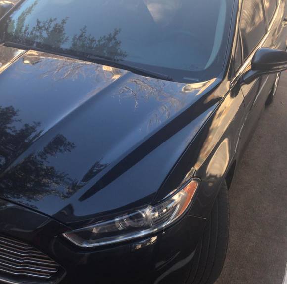 Profile Picture of Grey Grey (@eseuwhe) on Poshmark