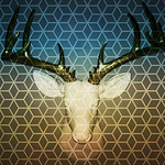 Profile Picture of Mike Gallagher (@m.i.gallagher) on Flickr