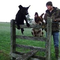 Profile Picture of Edward Walpole (@edwardw1949) on Pinterest