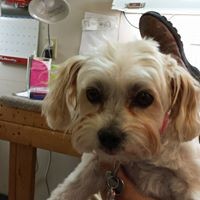 Profile Picture of Mike Chastain (@mike-chastain-11) on Quora