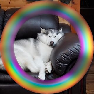 Sherry Tulk - Facebook Profile Picture of Sherry Tulk (@sherry.burton.397) on Facebook