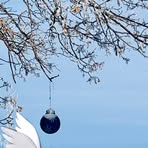 Profile Picture of Eileen Corbey (@eileen.corbey) on Facebook