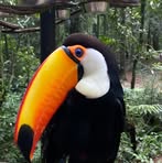 Profile Picture of Lara Bordon (@laruncha.bordon) on Facebook