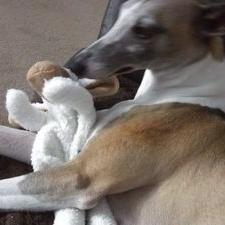 Profile Picture of Dawn Partington (@DawnDp28) on Twitter