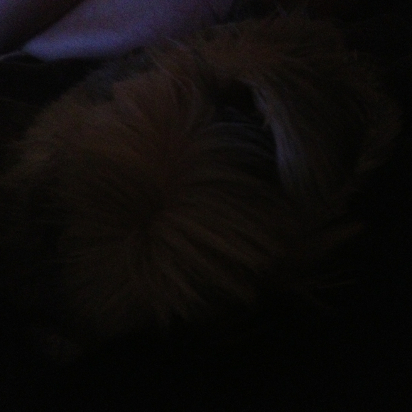 Profile Picture of Bree Craynon (@breeble51) on Poshmark