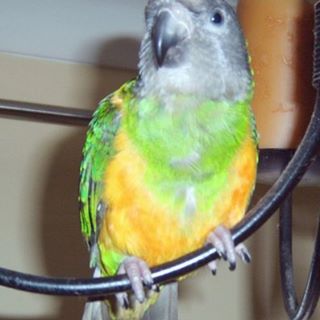 Profile Picture of Bobby Winning (@bobby.winning) on Facebook