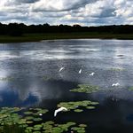 Profile Picture of Kim Ledgerwood (@kimzsnapz) on Instagram