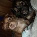 Profile Picture of Brian Buxton (@brian.buxton.946) on Facebook