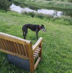 Profile Picture of David Worsley (@david.worsley.735) on Facebook