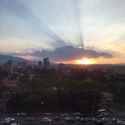 Profile Picture of Luis Felipe Alcocer (@luisfalcocer) on Twitter