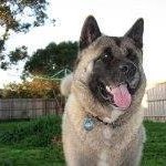 Profile Picture of Peter Mitsopoulos (@petermitsopoulos) on Instagram