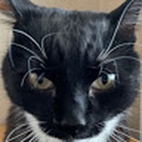Profile Picture of Daniel Lundell (@daniel-lundell-3) on Quora