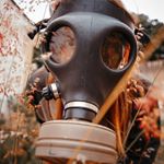 Profile Picture of David Cuica (@david.cuica) on Instagram