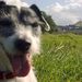 Profile Picture of Barry Starkey (@barrys2909) on Pinterest