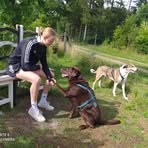 Profile Picture of Lisa Mehring (@Lisa-Mehring) on Facebook