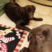 Profile Picture of Linda Scalise (@linda.scalise.75) on Facebook