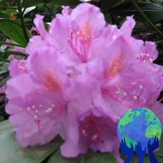 Profile Picture of Lily Smith (@lily.smith.102361) on Facebook