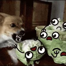 Profile Picture of Benjamin Balazs (@balazs1379) on Pinterest