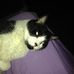 Profile Picture of Bonnie Tuttle (@bonnie.tuttle.35) on Facebook