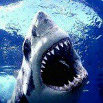 Profile Picture of tyler vestal (@_tylervestal513_._._._) on Instagram