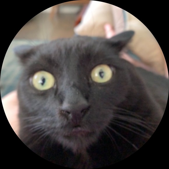 Profile Picture of Giannine Doyle (@giamom) on Poshmark