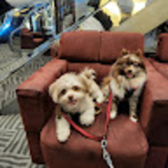 Profile Picture of Jeff Worley (@jeffworley935) on Poshmark