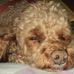 Profile Picture of Alyce Patterson (@alyce.patterson.35) on Facebook