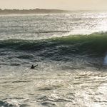 Profile Picture of Summa Longbottom (@raised_by_the_waves_durban031) on Instagram