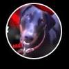 Profile Picture of Joseph McClees (@@gageboi9) on Tiktok