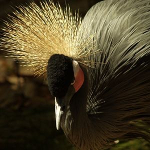 Profile Picture of Jessica West (@westnelite) on Myspace